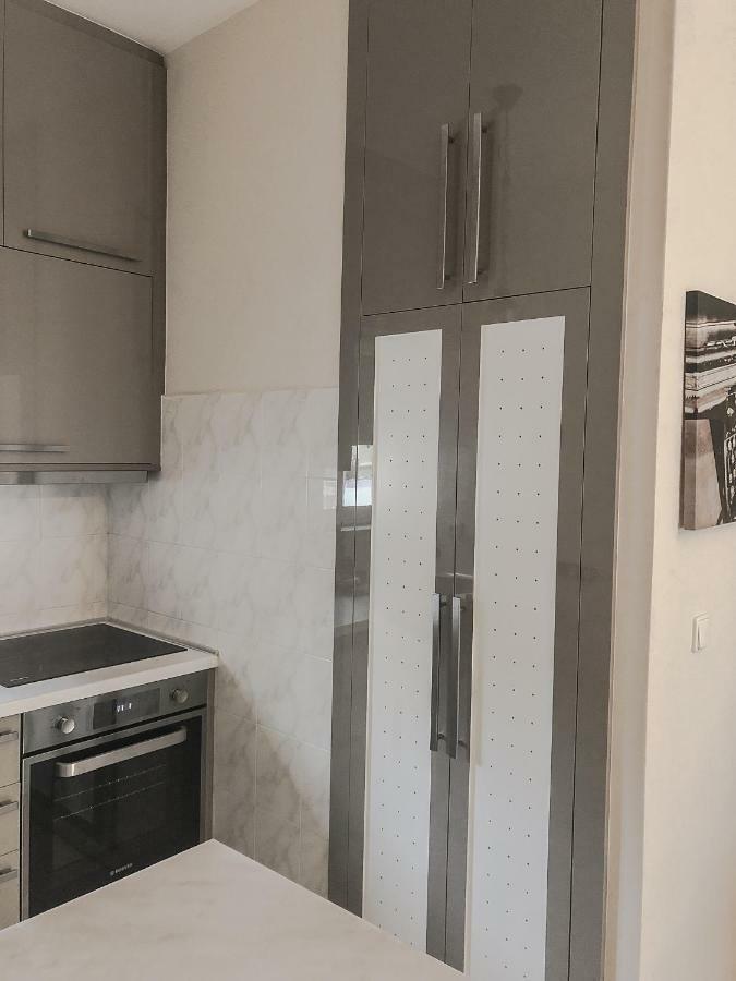 חאניה Sofia City Beach Apt. Nea Chora Chania מראה חיצוני תמונה